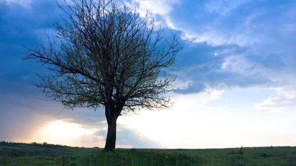 Paysage naturel lumineux avec horizon dégagé et ambiance calme